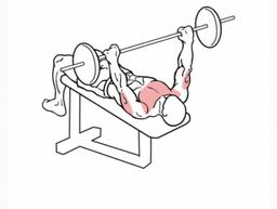 پرس زیر سینه با هالتر