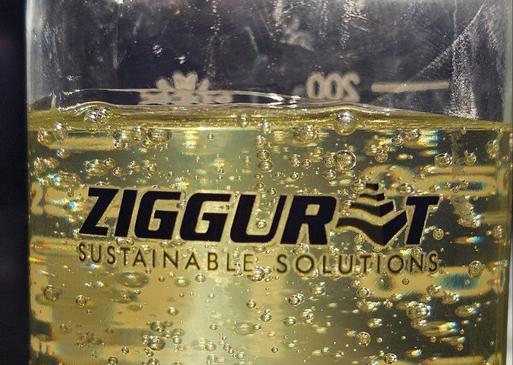 Ziggurat Sustainable Solutions