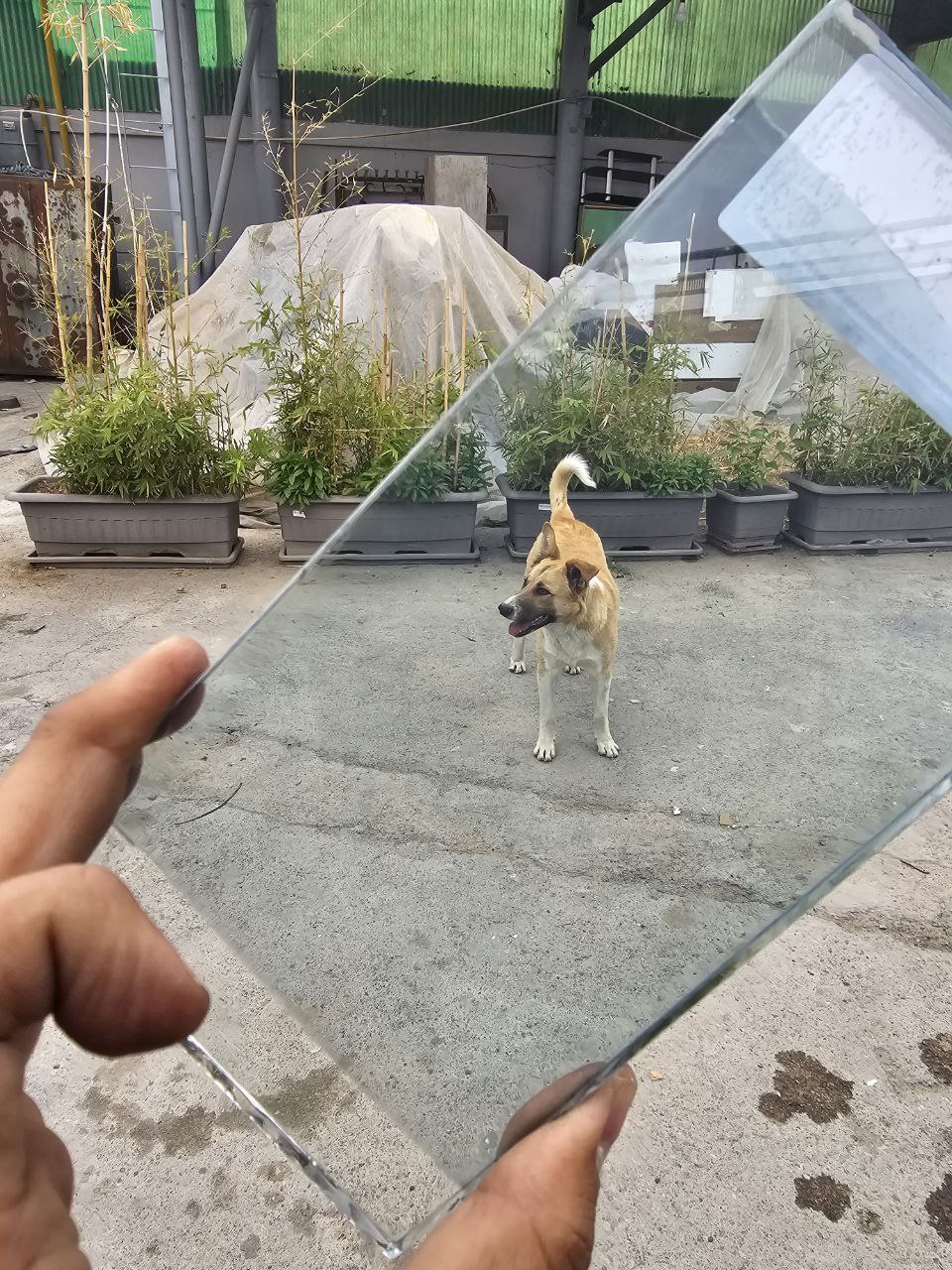 نمونه اولیه نانو کوتینگ تولید شده در داخل - اجرا بر روی شیشه تک لایه ایرانی