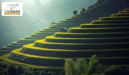 جزیره خدایان بالی