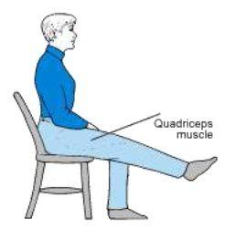 ورزش های مفید