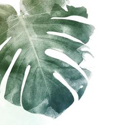 تفاوت من و رتبه برترها