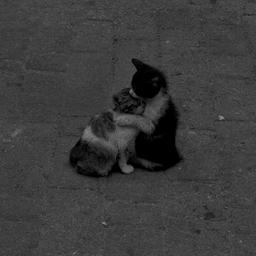 سرم درد می کنه ،خستم،...