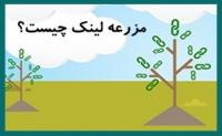 مزرعه لینک چیست؟