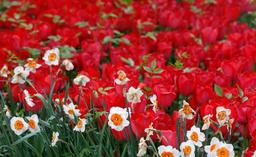 حکمت 146 نهج البلاغه: ارزش صدقه، زکات، دعا