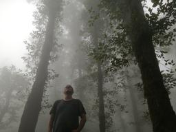 من، بعد از روز هزار و ۵۰۰ یا چطور اعتیاد به الکل را ترک کردم؟