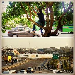 داش فرید مراقب باش