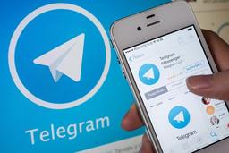 free Telegram members