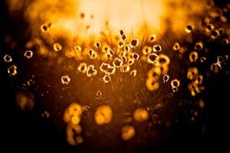 پروفایل ، تصویر زمینه