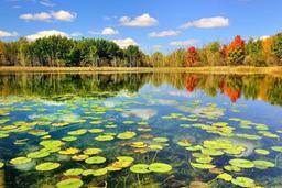 تالاب انزلی ، بزرگترین تالاب آب شیرین جهان