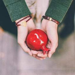 دیوانگی زین بیشتر؟