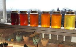 شرایط نگهداری عسل