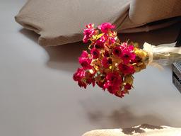 آروز های فراموش شده