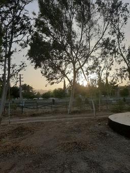 معشوق انابل