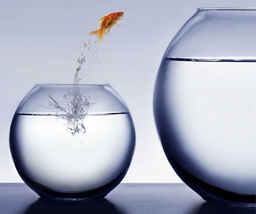 خود انگیزشی