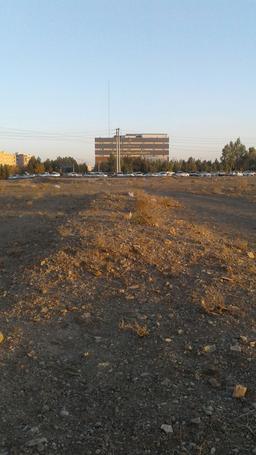 چطور از دانشگاهم دل بکنم