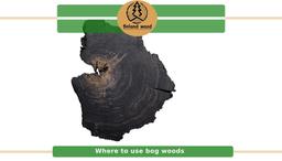 چوب بلوط باتلاق – قیمت 2023