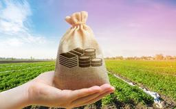 زمین‌های آینده ‌دار و پرسود کجاست| زمین‌‌‌‌‌‌‌‌‌‌‌‌‌‌‌‌‌‌‌‌‌‌‌‌‌‌‌‌های گلبهار مشهد