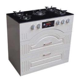 راهنمای خرید انواع اجاق گاز