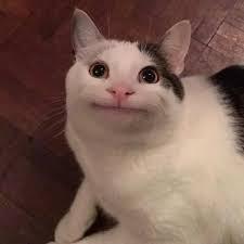 این پیش از "پس از کنکور" های لاعلاج