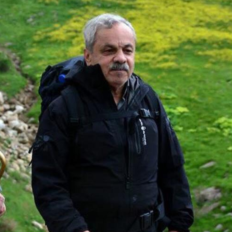 محمد نیک‌پی - ویرگول