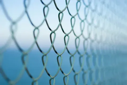 رابیتس و انواع آن