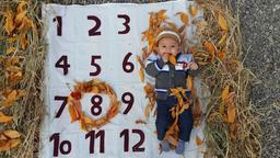 پاییز فصل رنگ ها