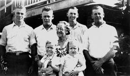 داستان Watir, Selenium و دیگران