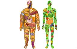 فواید کربوهیدرات برای بدن و سلامتی