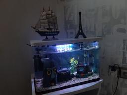 صفر تا صد راه اندازی آکواریوم :)