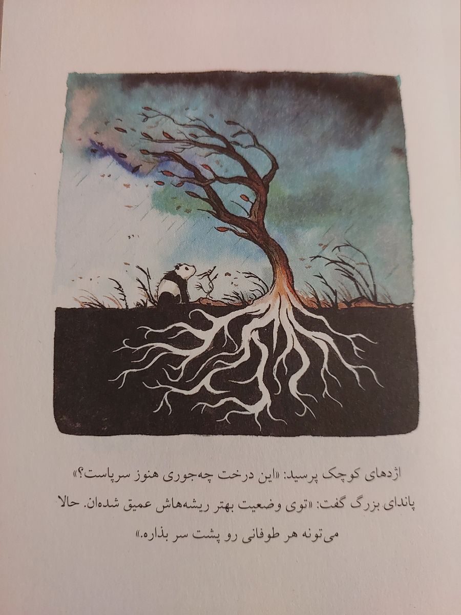 این درخت چه جوری هنوز سرپاست؟