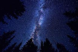 خدای در ذهنم