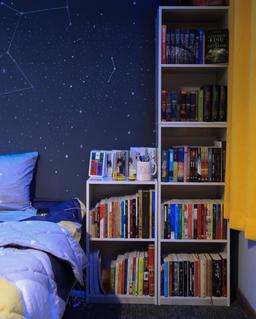 یک آرزو ،نهمین کتاب