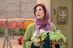 نقد فیلم بنفشۀ آفریقایی ساختۀ مونا زندی حقیقی