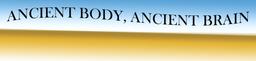 مغز باستانی، بدن باستانی