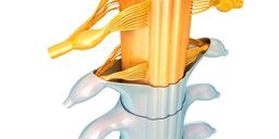 چطور از بروز عارضه های ستون فقرات جلوگیری کنیم؟