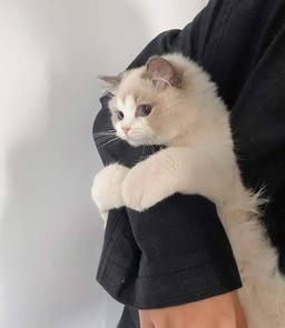 با من خیال کن:)