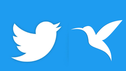 بوم‌ گپ: جایی که صداها آزادانه می‌پیچند