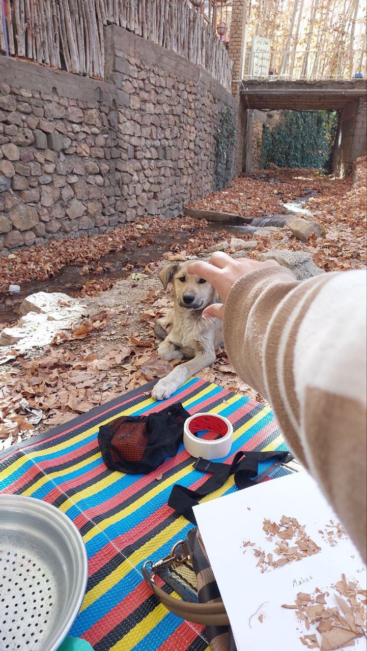 مهمان ناخوانده ما