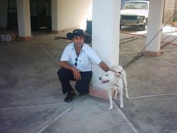 کاریکلماتور