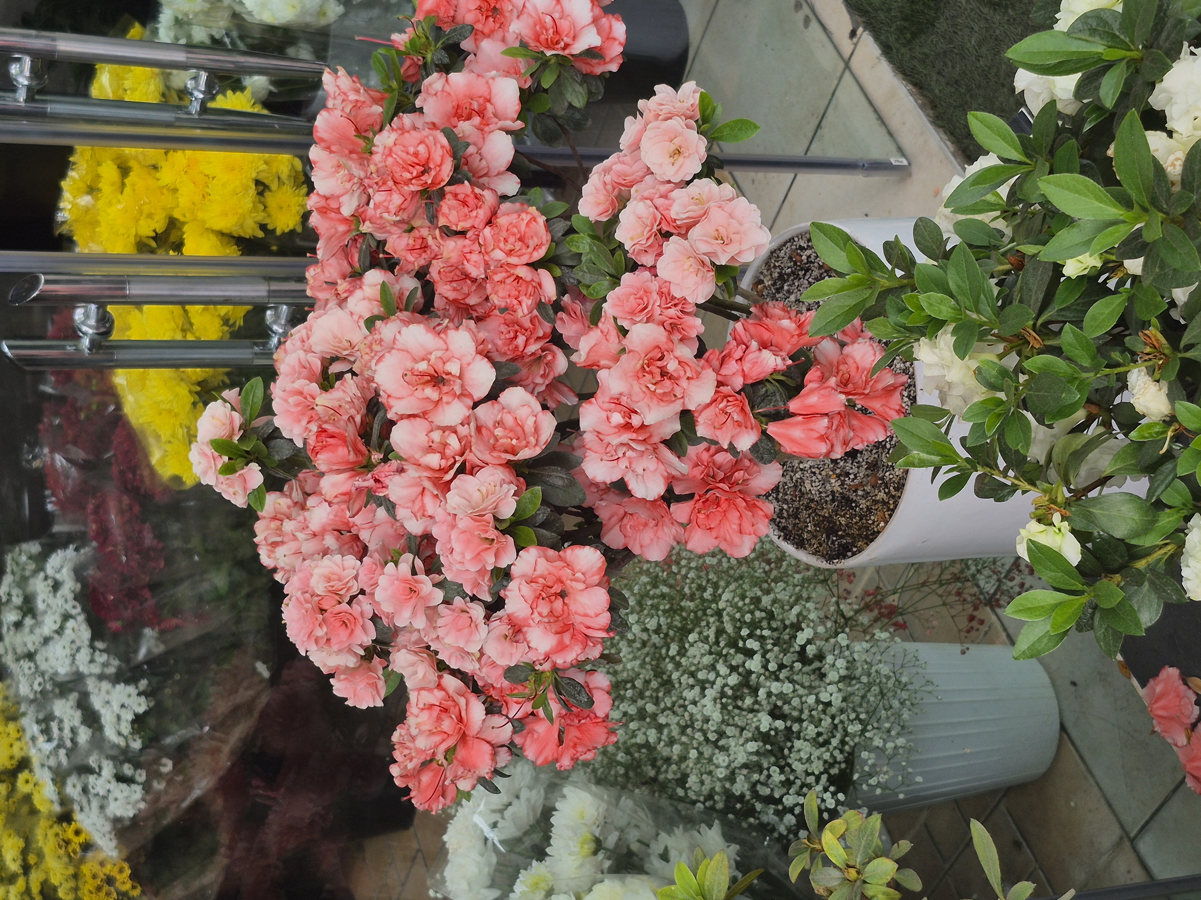 اردیبهشت بهشت.