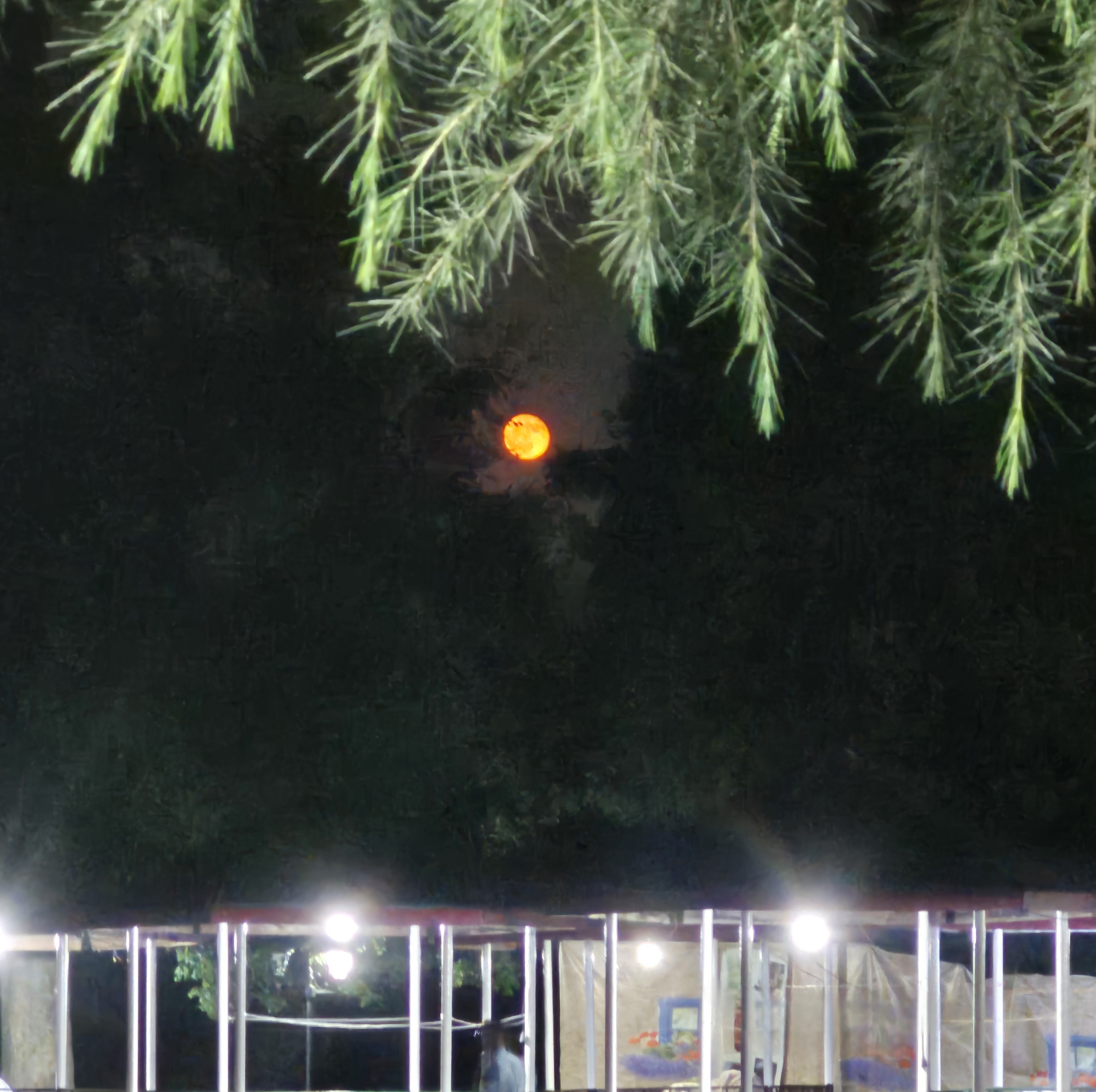 از شب هایی که ماه قشنگ بود