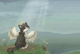 این داستان ترسناک نیست ولی خوشایند هم نیست