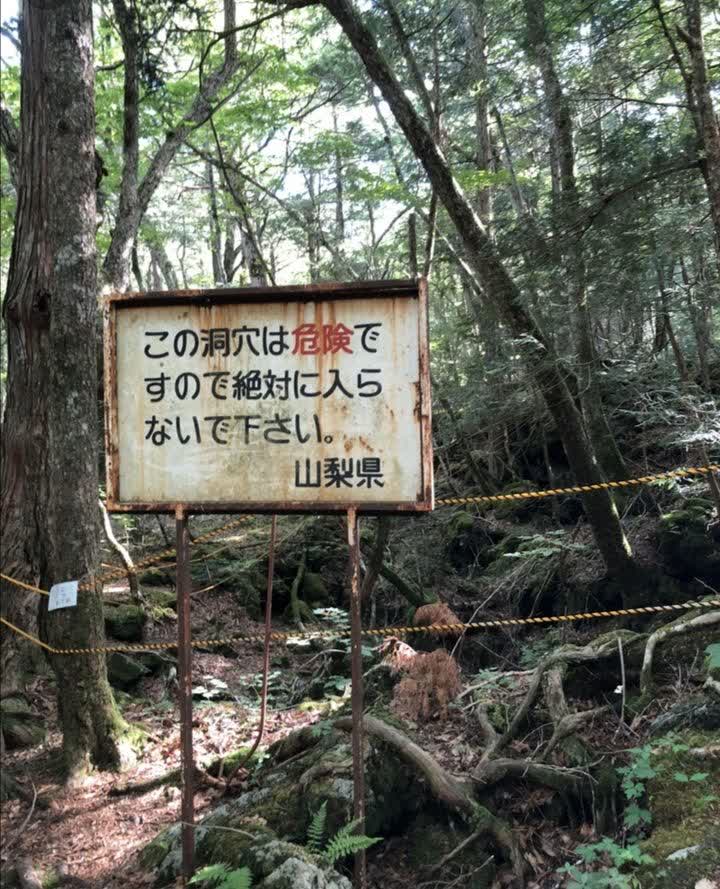 «ورود ممنوع»