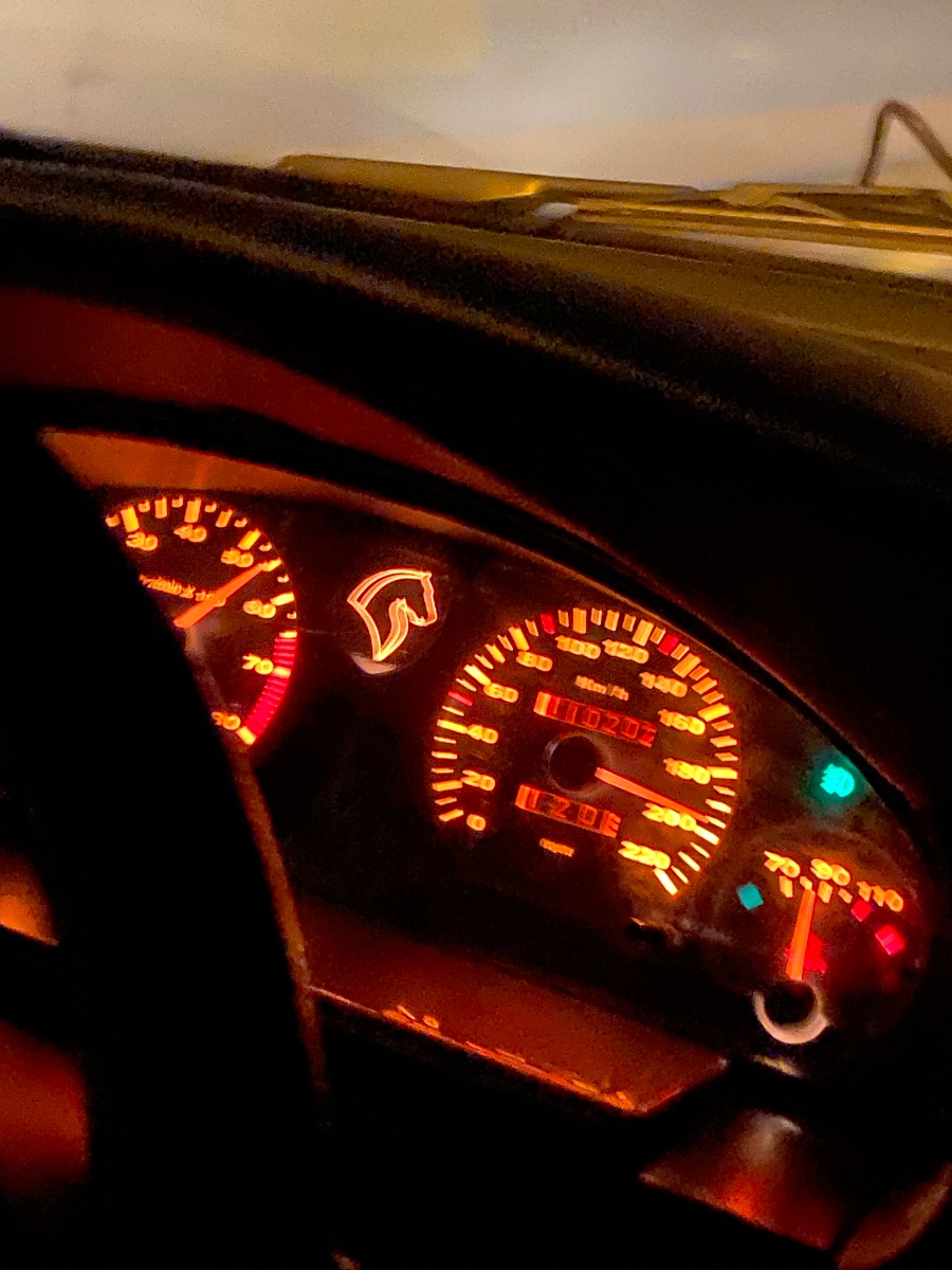 مرام آقا منصور خسته در مسیر برگشت