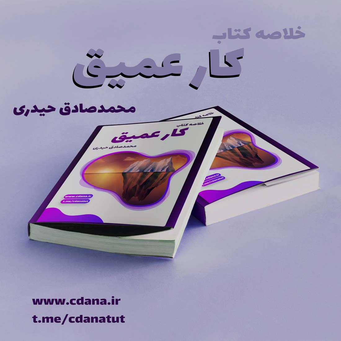 دانلود خلاصه کتاب «کار عمیق»