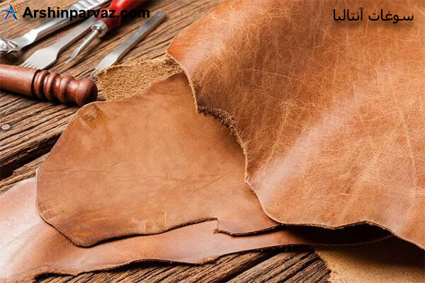 محصولات چرمی آنتالیا 