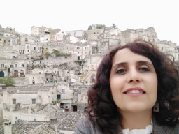 در مورد پایتخت فرهنگی اروپا و خلاء ما در نگاه ملی به میراث فرهنگیمان