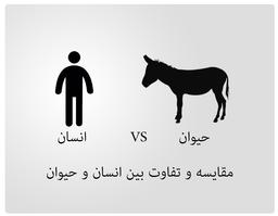 تفاوت انسان با حیوان چیست