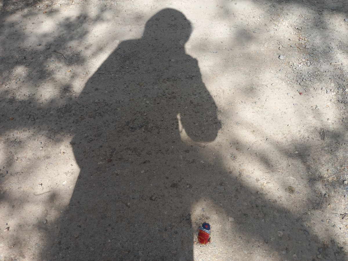 من اگر ایرانی هم نبودم، آرزو می‌کردم که کاش ایرانی بودم!